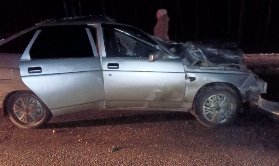 Семья из Краснозерского района попала в ДТП: мужчина сбил лошадь и погиб до приезда скорой