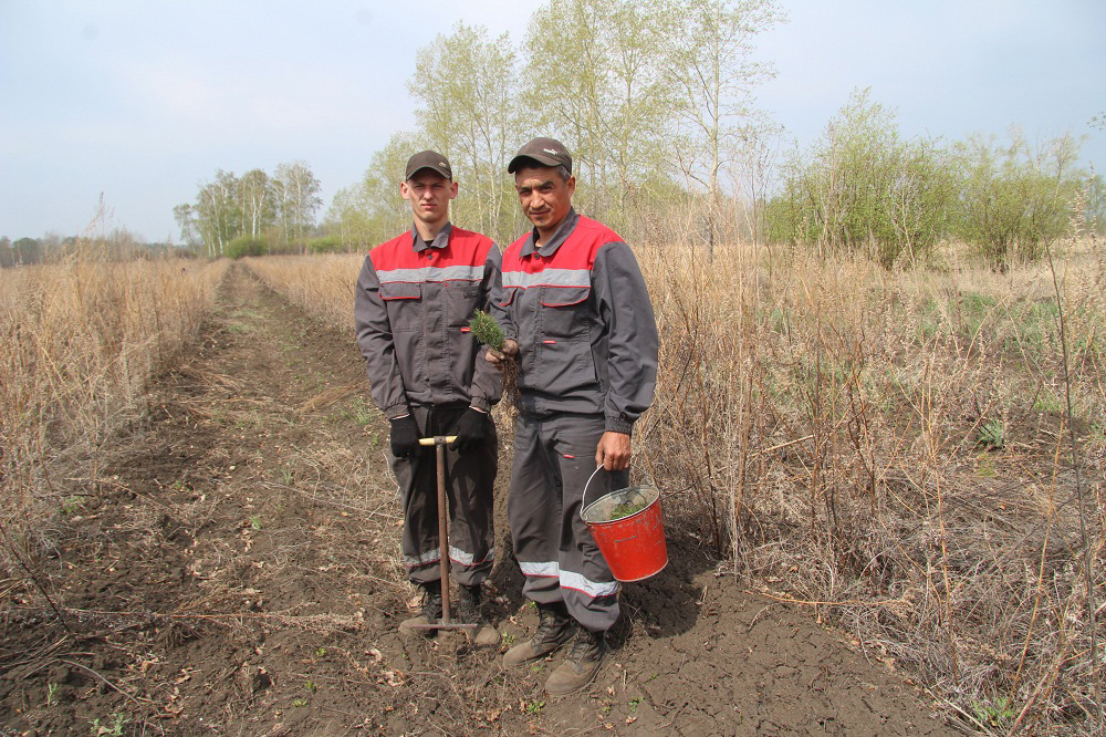 Погода краснозерское село