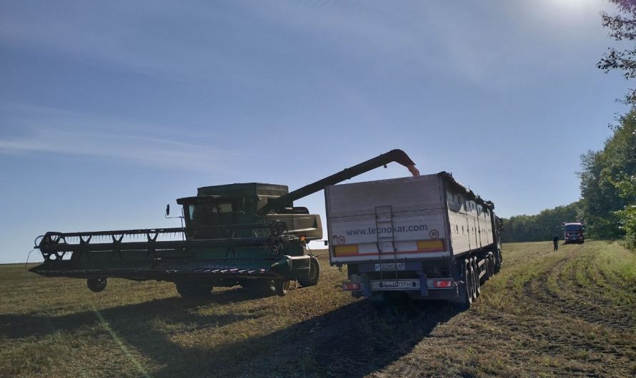 В битве за урожай мешает погода