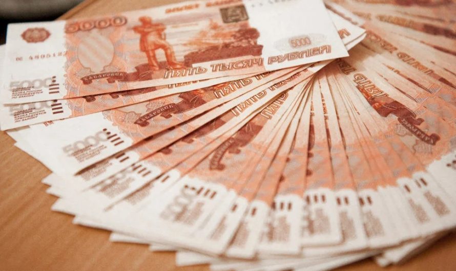 Лжеинвестор в Карасуке убедила вложить в ее бизнес 46 млн рублей