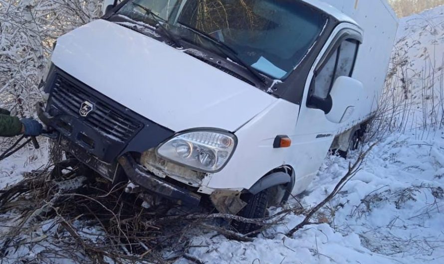 Водитель грузового фургона отвлекся на животное и слетел с трассы