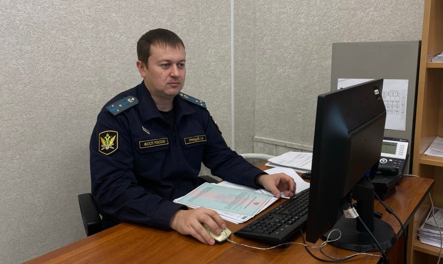 В Краснозерском районе под контролем судебных приставов дети получают датчики контроля уровня глюкозы