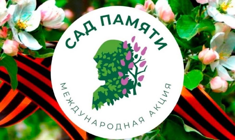 В Новосибирской области память героев СВО увековечат благодаря эколого-патриотической акции