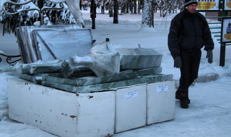 В Краснозерском новогоднюю ёлку установят на центральной площади