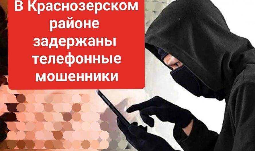В Краснозерском районе задержана группа телефонных мошенников