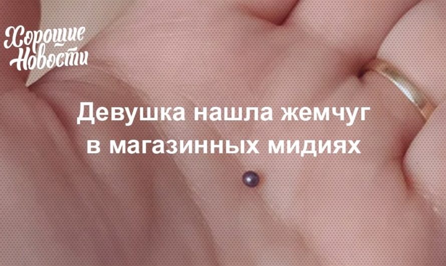 Такого сюрприза в маринованных мидиях из рыбного магазина жительница Новосибирска Ольга никак не ожидала