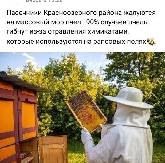 ЭТО ФЕЙК