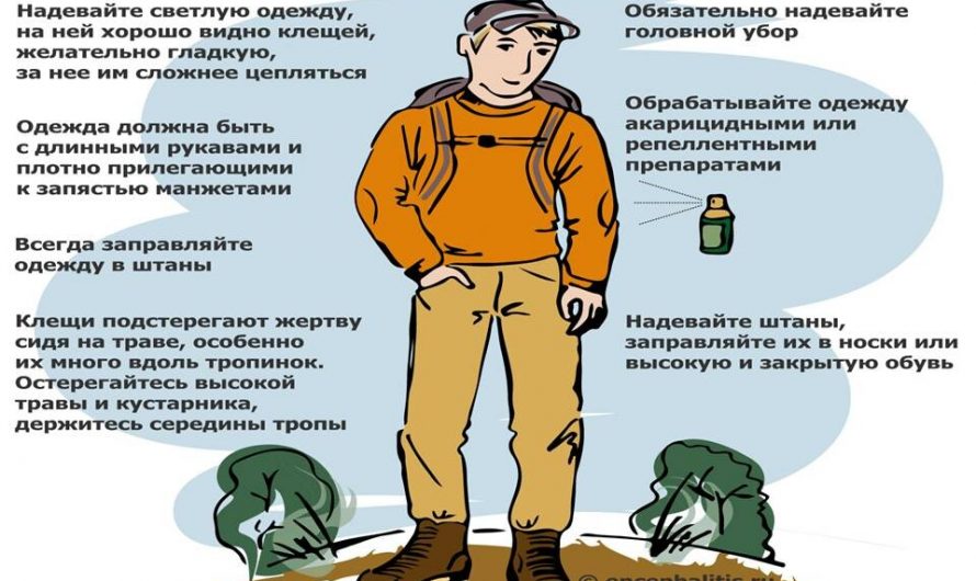 Первые пациенты с энцефалитом появились в Новосибирской области