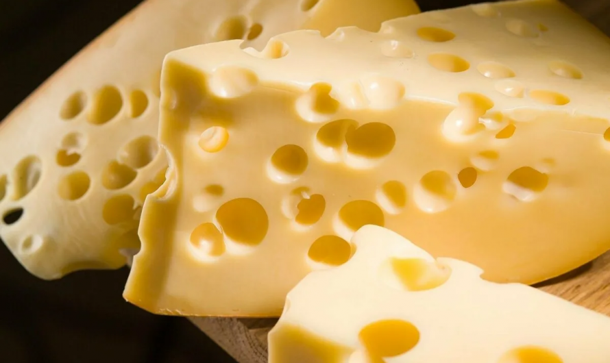 Дублинские учёные нашли разъяснение, почему сыр снижает холестерин