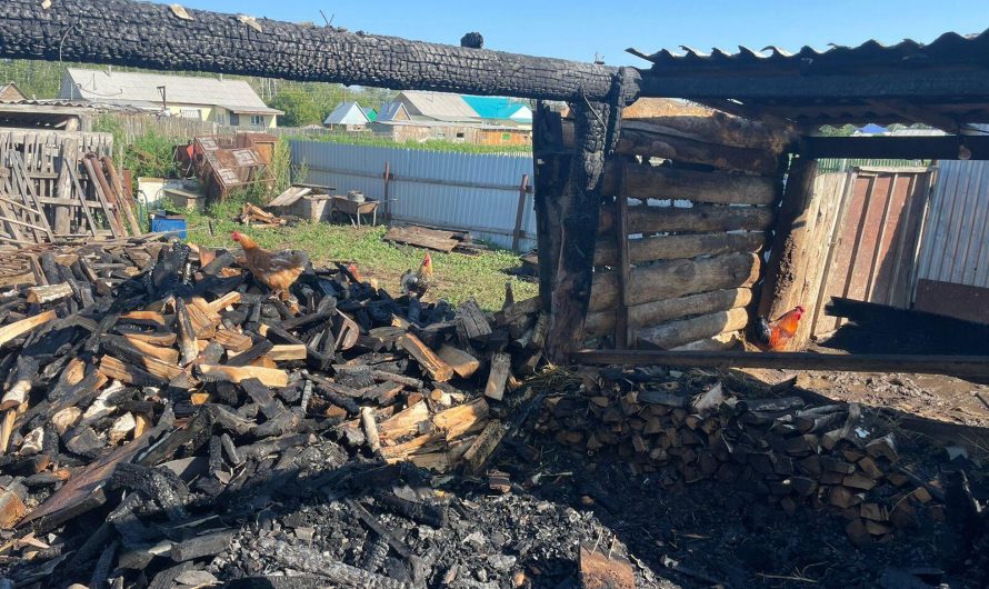 В пожаре погиб домашний скот