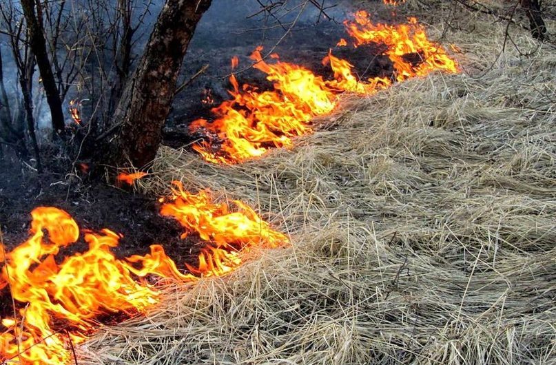 В Новосибирской области продлен особый противопожарный режим