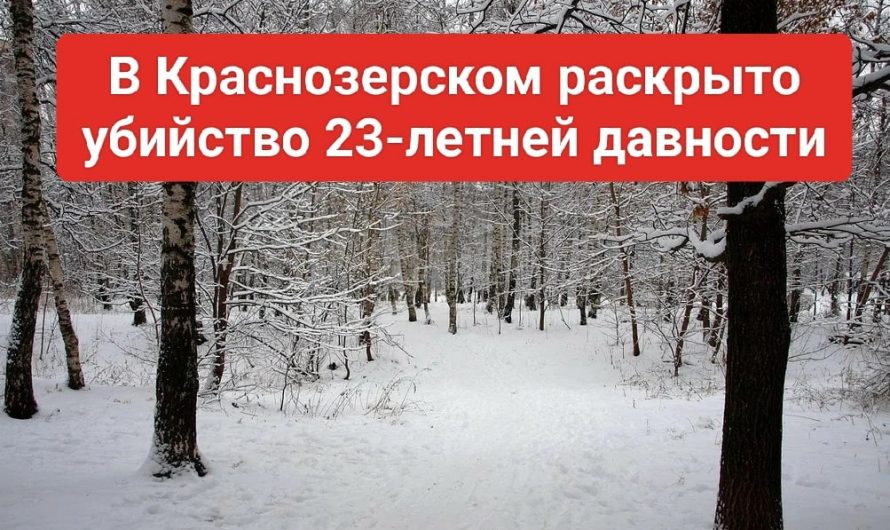 Жестокое убийство в Краснозерском раскрыли спустя 23 года