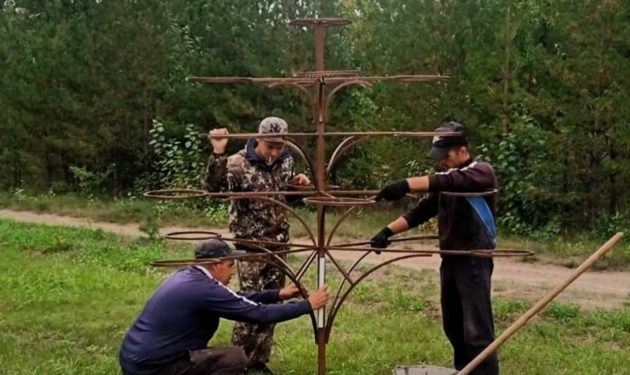 Половинцы обустраивают село