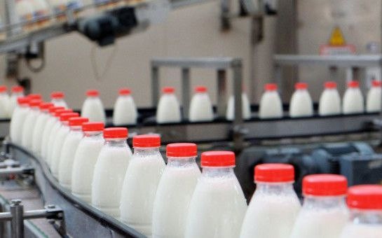 Новосибирские предприятия получили господдержку на маркировку молочной продукции