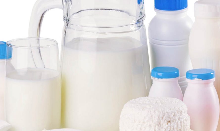 В НОВОСИБИРСКОЙ ОБЛАСТИ 11,9% МОЛОЧНОЙ ПРОДУКЦИИ ОКАЗАЛОСЬ ФАЛЬСИФИКАТОМ