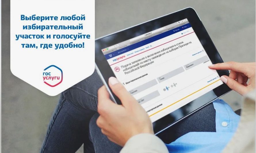 Дистанционное голосование: доступный и удобный сервис на Госуслугах
