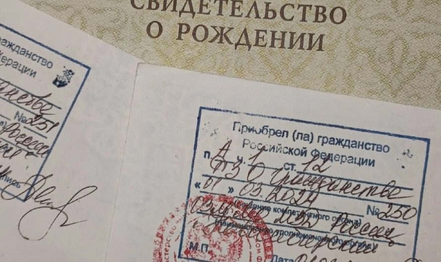 Красный штамп о гражданстве детям в 2024 году: что изменилось и зачем нужен