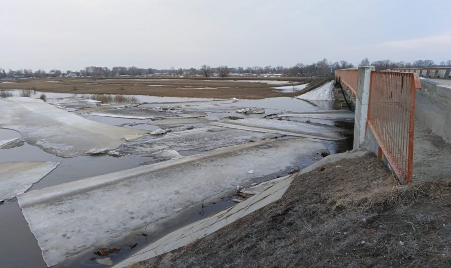 Противопаводковые работы под контролем