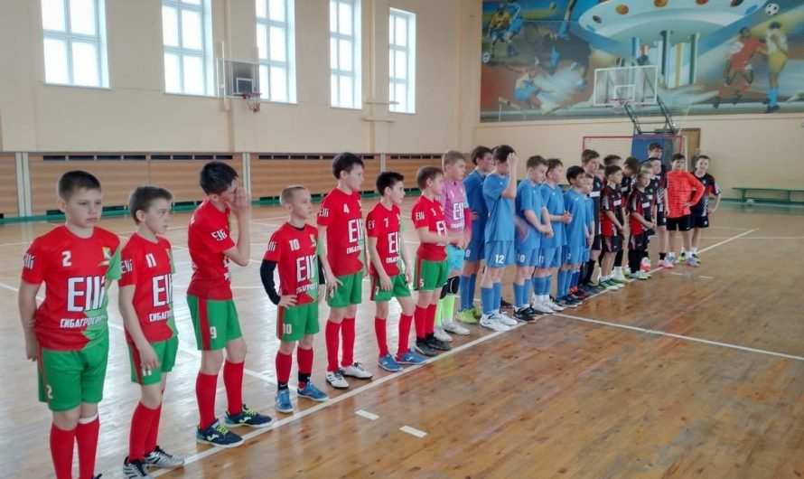 Команда Краснозерского района «Луч» стала бронзовым призёром Чемпионата сельской лиги НСО