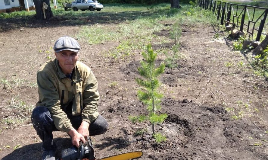 Жители п.Курьинский провели субботник