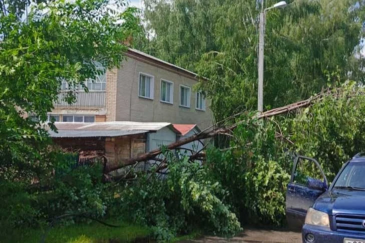 Ураган с порывами 35 м/с накрыл рабочий поселок Ордынское в Новосибирской области