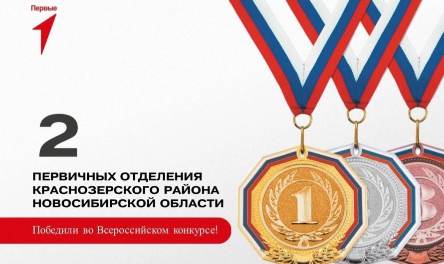 Два первичных отделения Движения Первых Краснозерского района победили во Всероссийском конкурсе