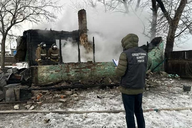 Мать и четверо детей погибли в пожаре в Купинском районе