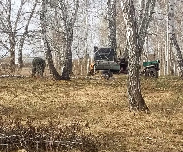 Посевная: сложности и перспективы