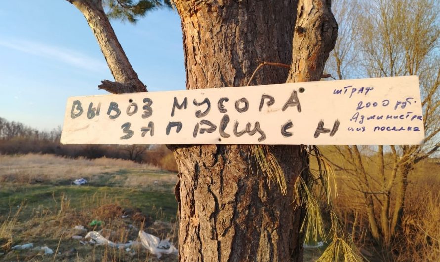 За р.п.Краснозерское, за Финчихиным мостом, в нескольких местах лежат кучи мусора, который выбрасывают недобросовестные граждане