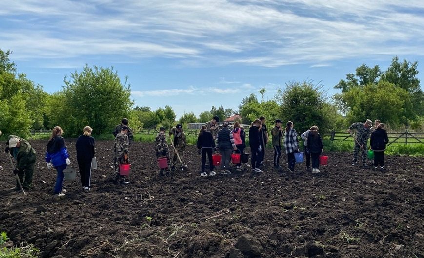 Ученики Мохнатологовской школы посадили картошку на школьном огороде