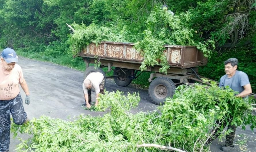 В селе Веселовское провели субботник. Выпилили ненужные кустарники и ветки деревьев вокруг спортивного комплекса «Сибиряк» и возле врачебной амбулатории