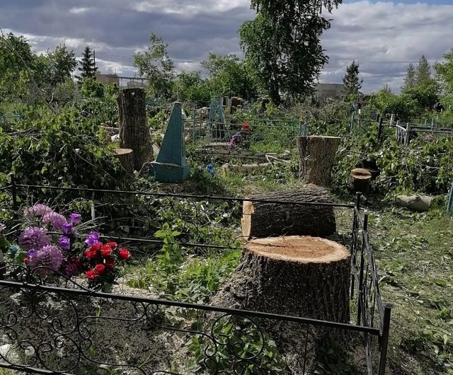 В селе Нижнечеремошное кладбище расчистили от ненужных деревьев и кустарников