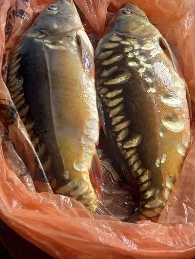 Накануне Дня рыбака в Майском прошли соревнования по рыбной ловле