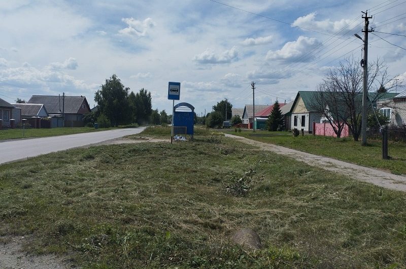 В жилмассиве Современник р. п. Краснозерское сегодня выкосили траву вокруг остановки общественного транспорта