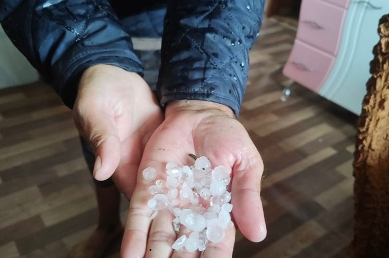 Град обрушился на Краснозерский район, повредив урожай