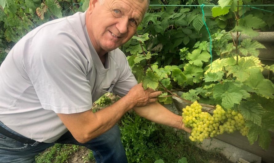 Виктор Иванович Оспенников из села Конево- увлеченный садовод, который себя уже и не представляет без своего хобби
