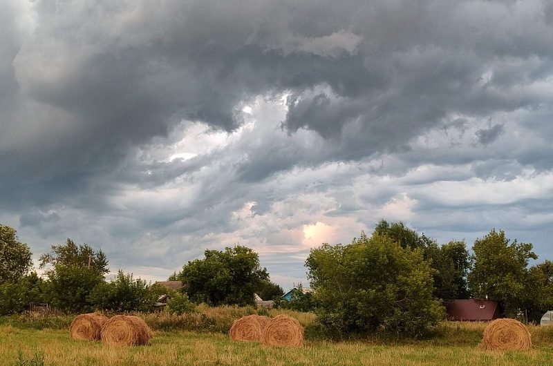 Краснозерцы умеют замечать прекрасное в обыденном