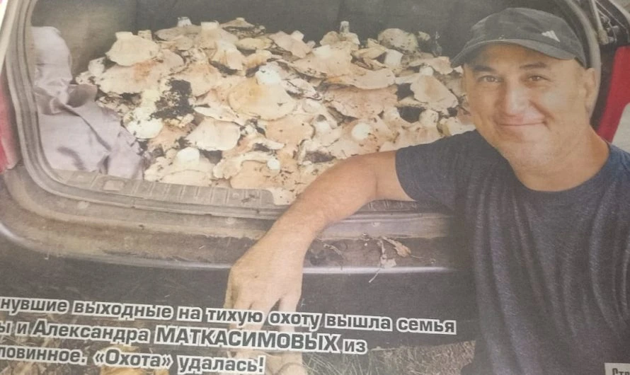 Пора по грибы!