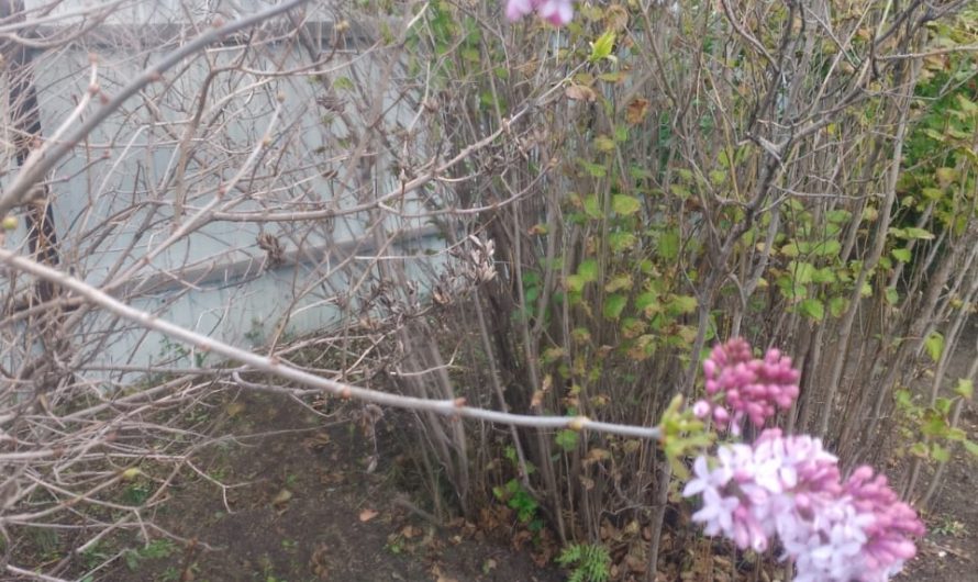 Бабье лето продолжает нас радовать теплыми денечками
