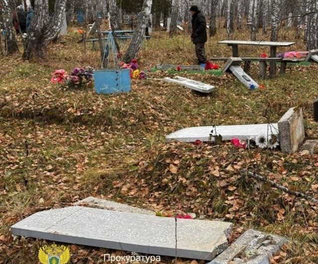 Дети разгромили надгробия на кладбище в Кыштовском районе