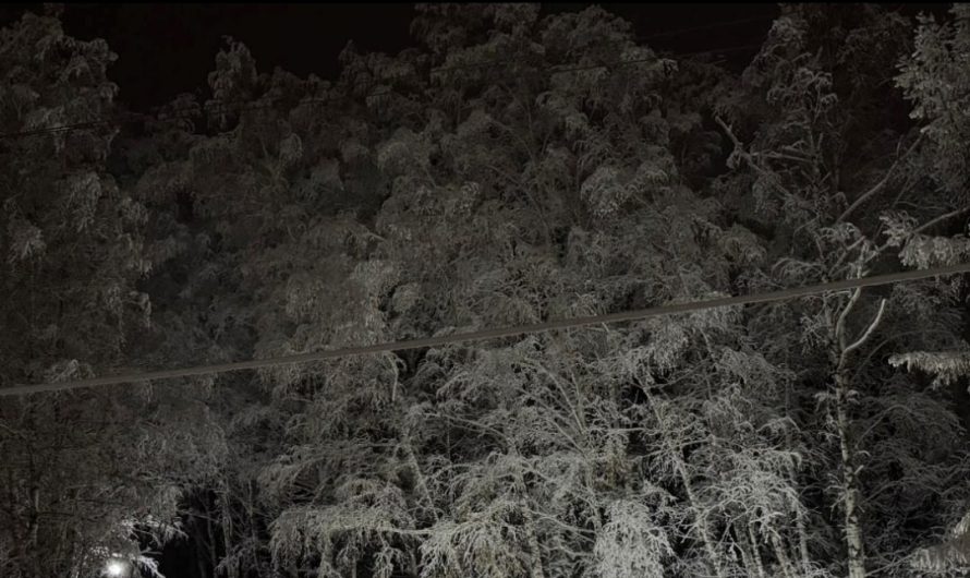 Доброе снежное утро, дорогие подписчики! Пусть новая неделя вас только радует!