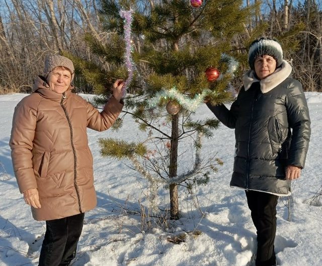 Новогодняя елочка-попутчица