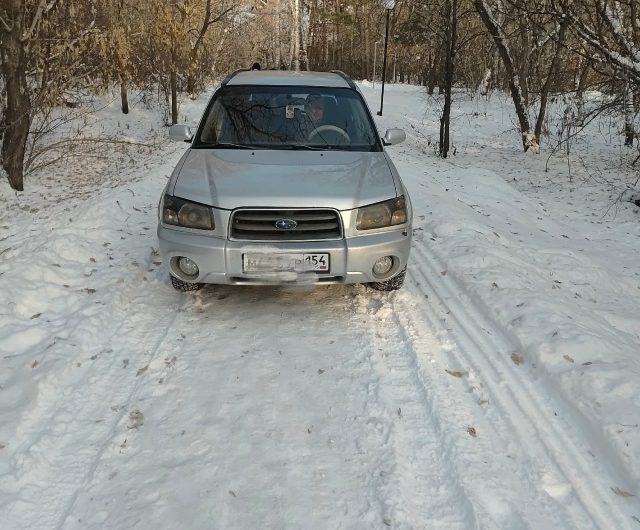 В Березовой роще р.п.Краснозерское, которое давно стало любимым местом отдыха краснозерцев, мужчина, никого не стесняясь, заехал на своем автомобиле на пешеходную дорожку