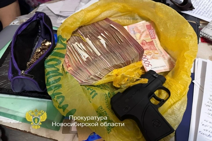 В Новосибирске задержаны 11 цыган за вымогательство денег у участников СВО