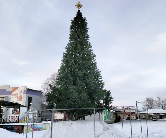 На центральной площади р. п. Краснозерское установили елку и горку
