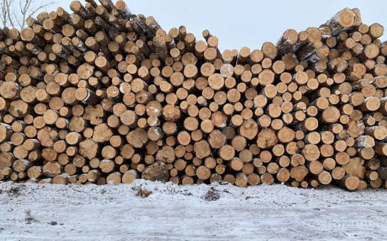 «Помощь – от сердца»: минприроды региона показали, как заготавливают пиломатериалы и дрова для участников СВО