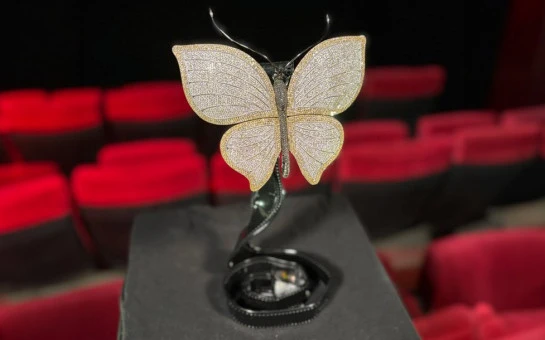 «Бриллиантовая бабочка»: новосибирцев пригласили на бесплатные кинопоказы