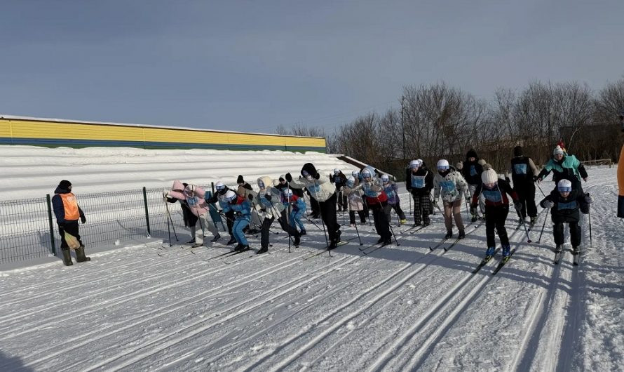 На стадионе р.п.Краснозерского состоялась «Лыжня России»
