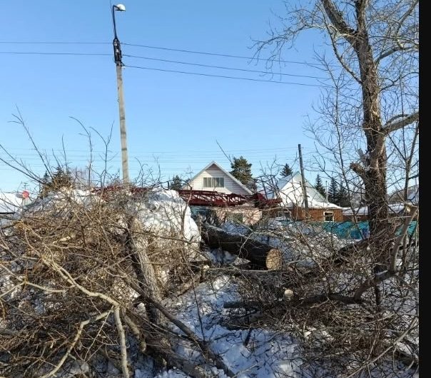 В р. п. Краснозерское продолжаются плановые работы по вырубке опасных (аварийных) деревьев