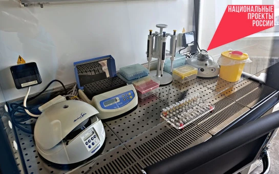 Сверхбыстрые тесты на вирусы и ИИ-мониторинг болезней растений разработали новосибирские ученые